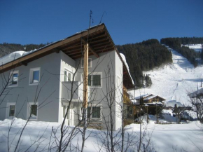 Отель Alpen Chalet Eben, Эбен